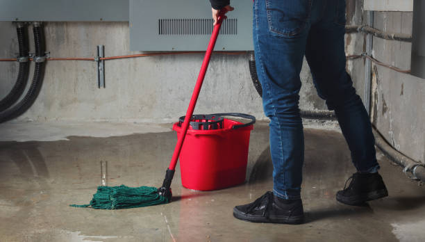 Best Flood damage cleanup  in Roland, AR