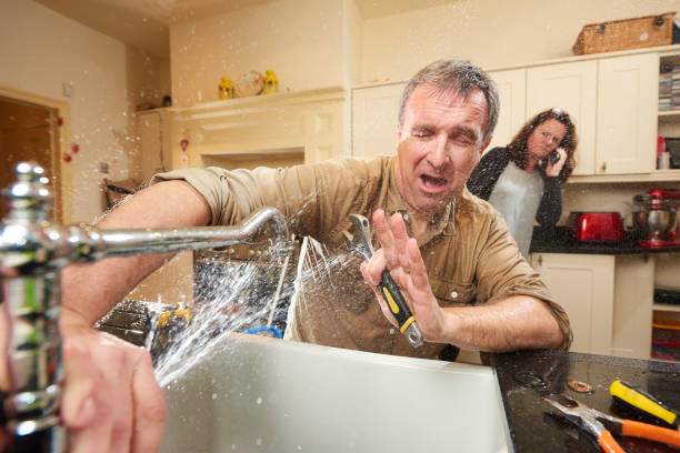 Best Flood restoration services  in Roland, AR